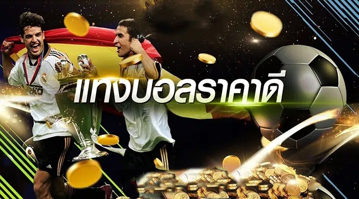 เว็บแทงบอลราคาดี