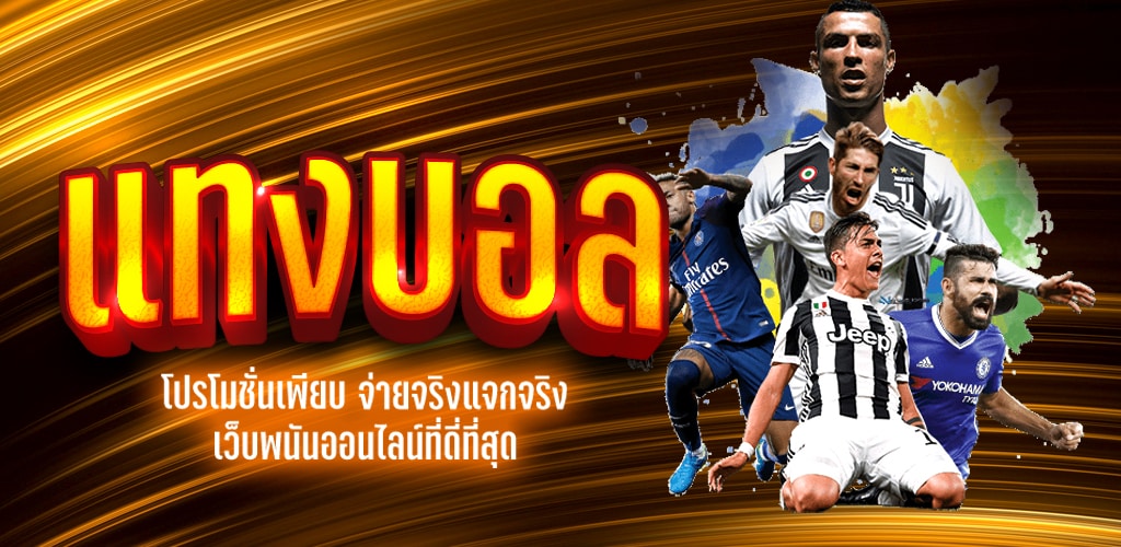 เว็บแทงบอล365