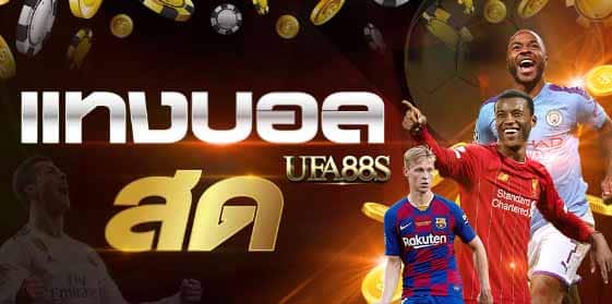 พนันบอล sbobet 888